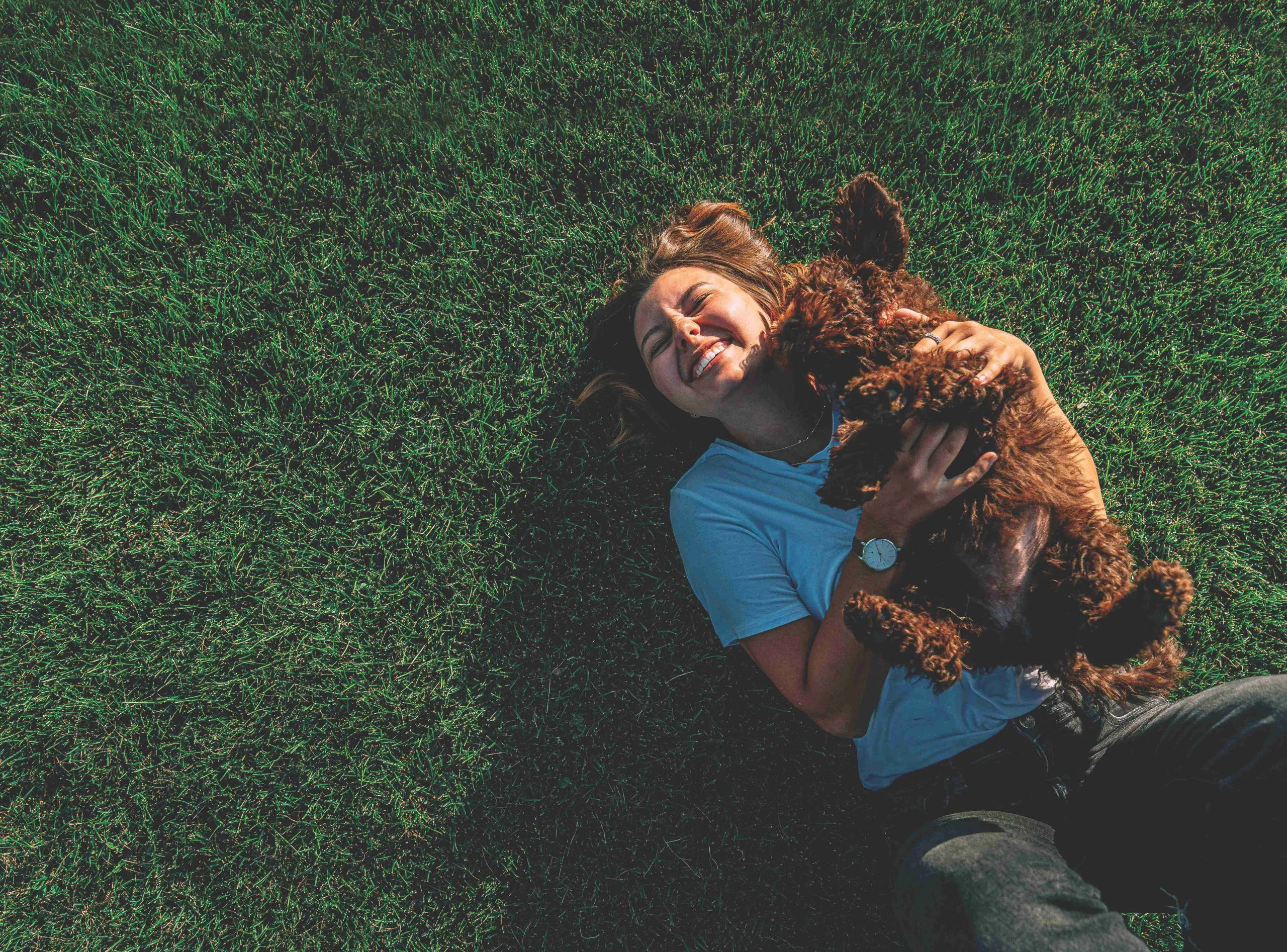 Woman lying in grass with her chestnut-colored poodle on her chest licking her face. The woman is smiling and holding her dog. She is wearing a watch on her right arm and wearing a blue t-shirt and black denim jeans.